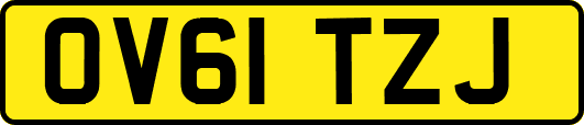 OV61TZJ