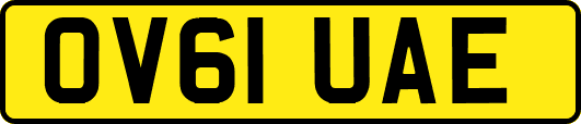 OV61UAE