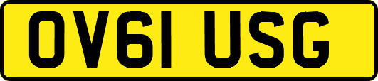 OV61USG