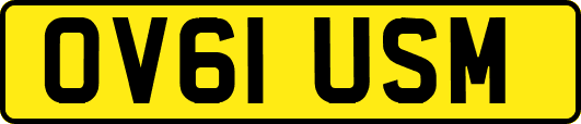 OV61USM