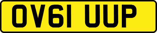 OV61UUP