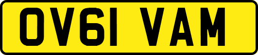 OV61VAM