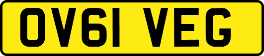 OV61VEG