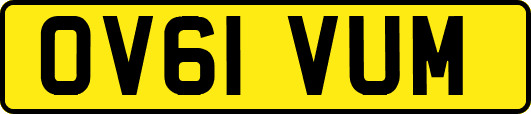 OV61VUM