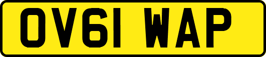 OV61WAP