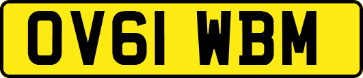 OV61WBM