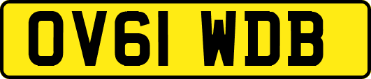 OV61WDB