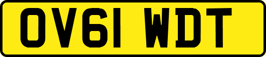 OV61WDT