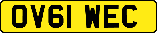 OV61WEC