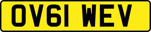 OV61WEV
