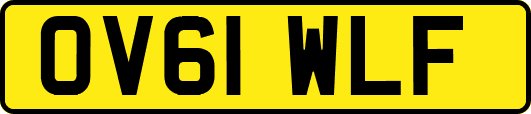 OV61WLF