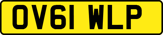 OV61WLP