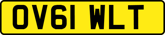 OV61WLT