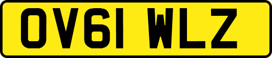 OV61WLZ