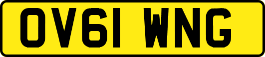 OV61WNG