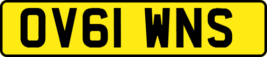OV61WNS