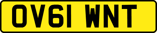 OV61WNT