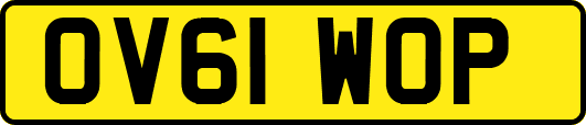 OV61WOP