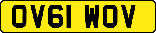 OV61WOV