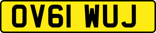 OV61WUJ