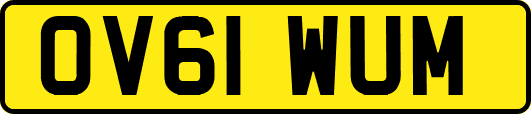 OV61WUM