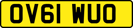 OV61WUO