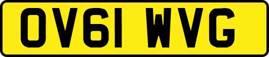 OV61WVG