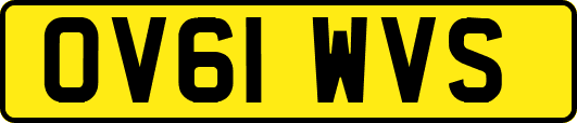 OV61WVS