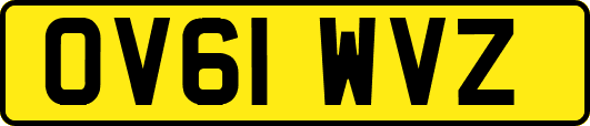 OV61WVZ