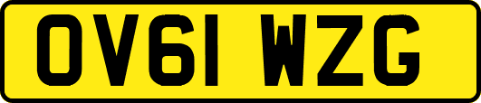 OV61WZG
