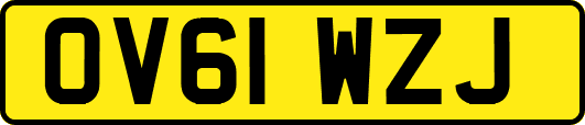 OV61WZJ