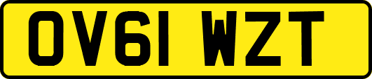 OV61WZT