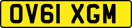 OV61XGM