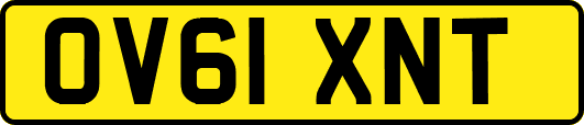 OV61XNT