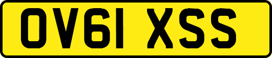 OV61XSS
