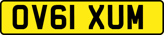 OV61XUM