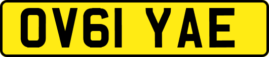 OV61YAE