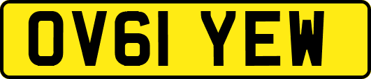 OV61YEW