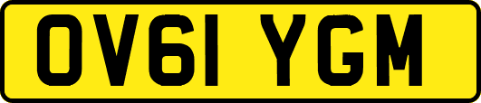 OV61YGM