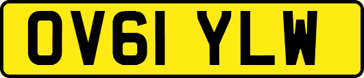 OV61YLW