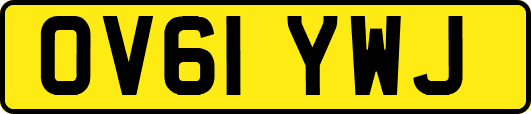 OV61YWJ