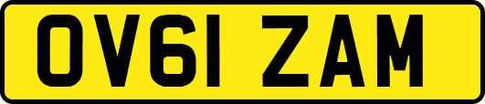 OV61ZAM