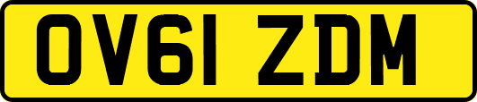 OV61ZDM