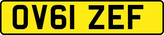 OV61ZEF