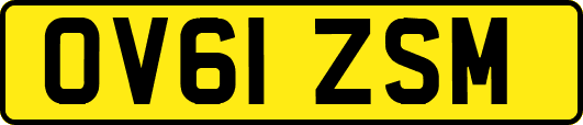 OV61ZSM