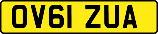 OV61ZUA