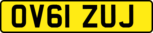OV61ZUJ