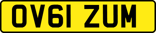 OV61ZUM