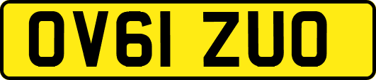 OV61ZUO