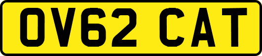 OV62CAT